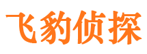 正定市婚姻出轨调查